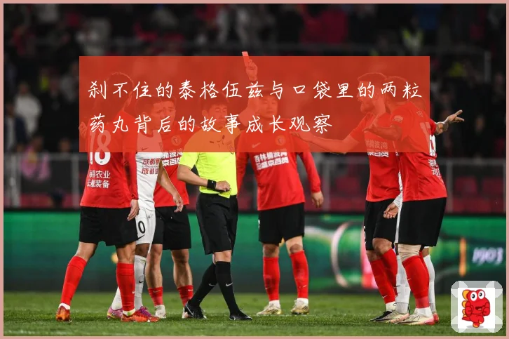 刹不住的泰格伍兹与口袋里的两粒药丸背后的故事成长观察